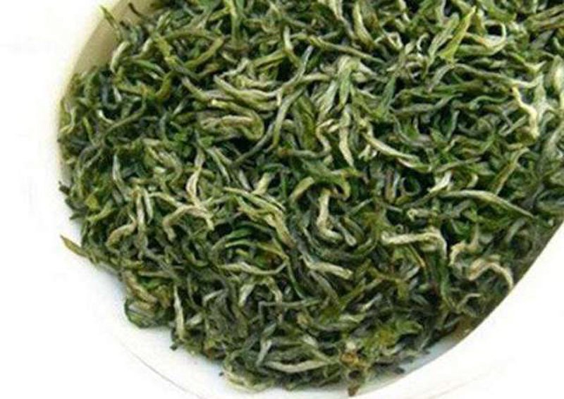 绿茶批发行业的最新趋势探索